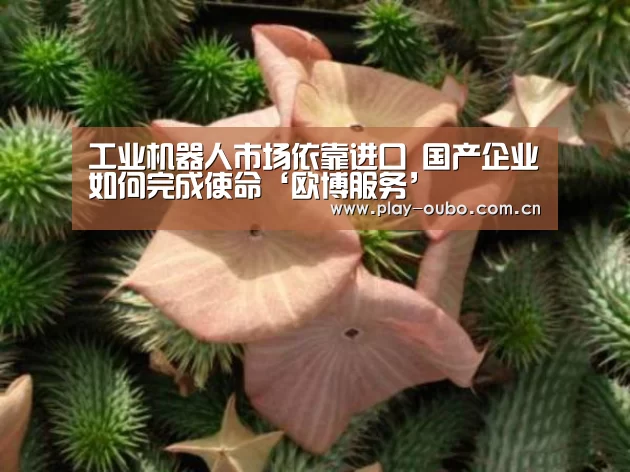 工业机器人市场依靠进口 国产企业如何完成使命‘欧博服务’(图2) 欧博在线游戏官方平台