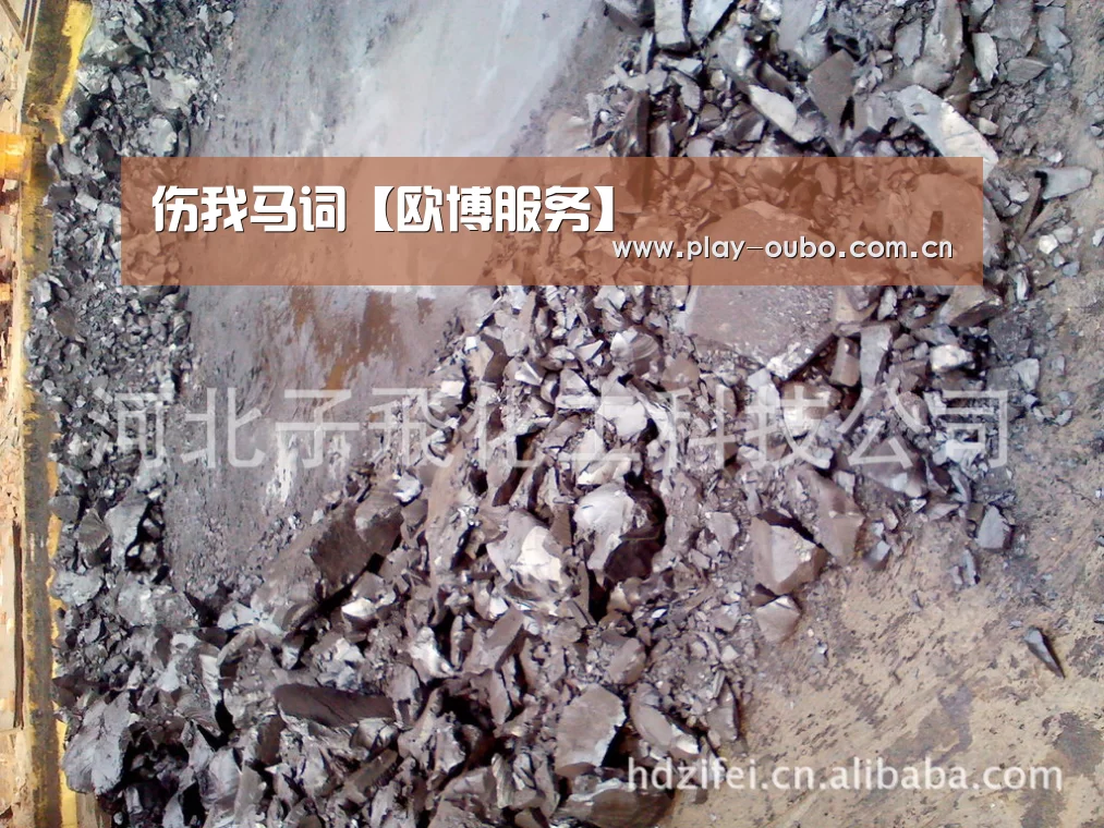 伤我马词【欧博服务】(图1) 欧博游戏