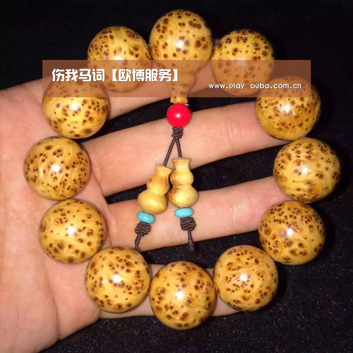 伤我马词【欧博服务】(图2) 欧博官网