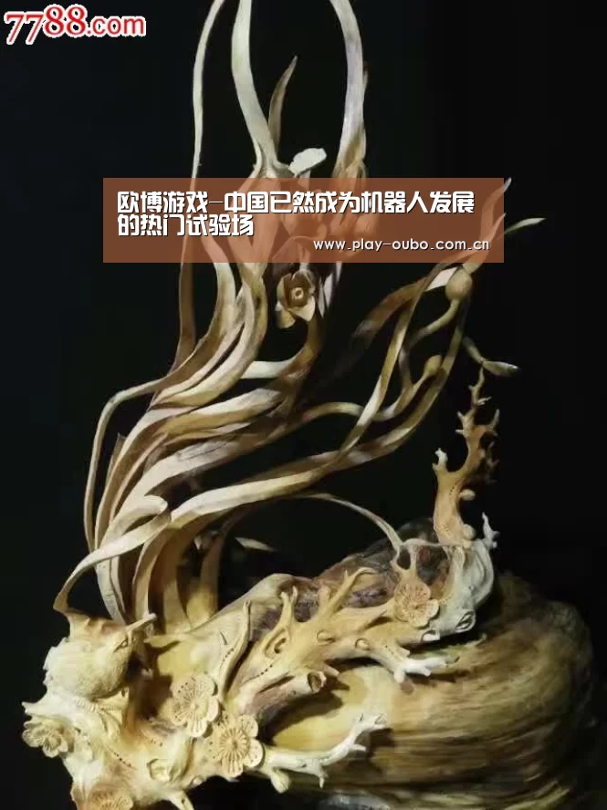 欧博游戏-中国已然成为机器人发展的热门试验场(图2) 欧博游戏